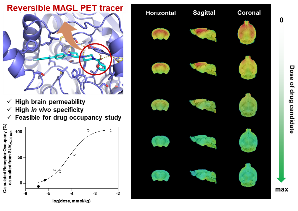 Enlarged view: MAGL