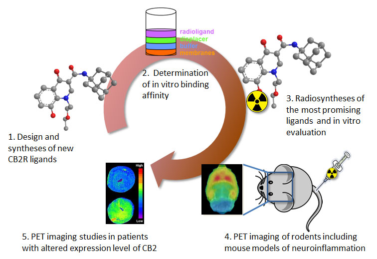 Enlarged view: Tracer for neurodegeneration